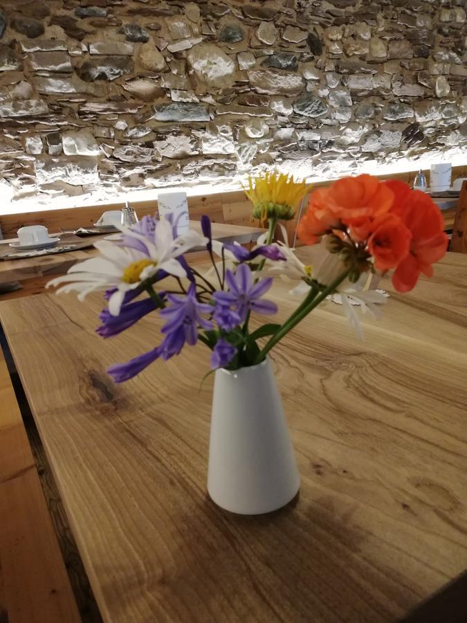 桑泽诺Agritur Ciastel别墅 外观 照片