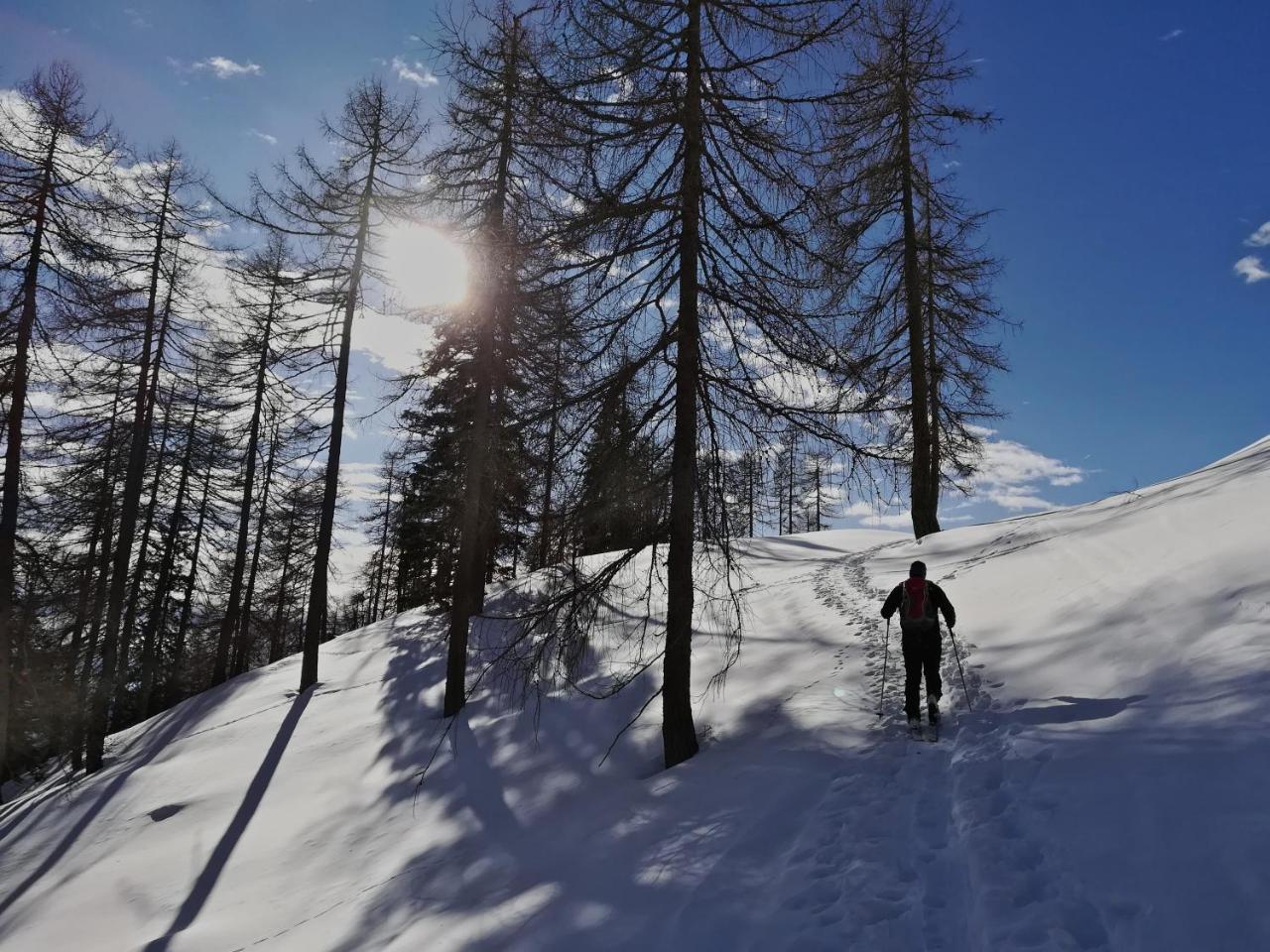 桑泽诺Agritur Ciastel别墅 外观 照片