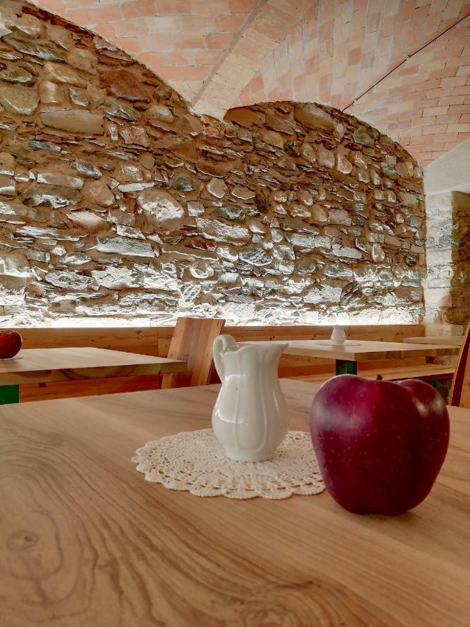 桑泽诺Agritur Ciastel别墅 外观 照片